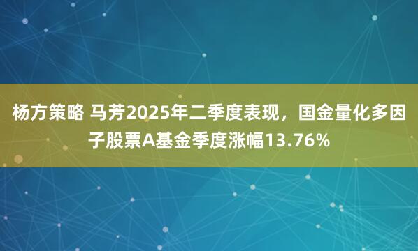 杨方策略 马芳2025年二季度表现，国金量化多因子股票A基金季度涨幅13.76%